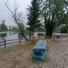 sarduny_1