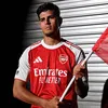 afc.alexjr