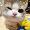 didac_hd