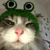sashicat25