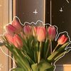bosy01549