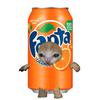 that.fanta.cat