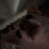 lexconly_77