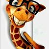 raedelgadowilson