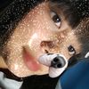 tesa_wuoby