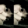 ngocmai_2446