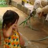 namthi_p21