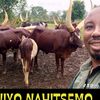 user994757685158mathias