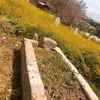 shallawibrahim4