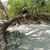 albahiyyah93