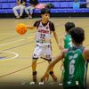 whois_albo