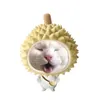 soinguoidepgai