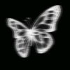 mona.almoustafa1