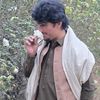 laiqzamanwaziri