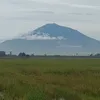 amirperdana3