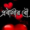 sadiya.akter11609