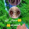 user4381059844102