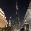 m6648545