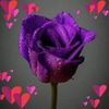 ko.thein.khaing.7
