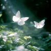 _khlinh1902_