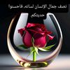 user21465977463971