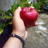 fi_emon2