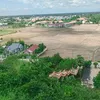 mangocbich_1982