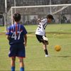 gonzalezz__013