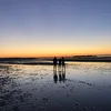 alex_walters236