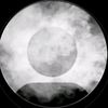 mohamed_4847