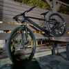 shameless_mtb