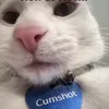 eydufhvp481