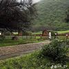 husseinh901