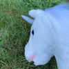 llo_497lgdc