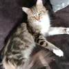 quinn_girl22