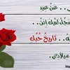 ahmeddd_2023