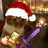 lenchi_varbe