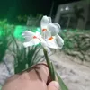 hetila.riquima81