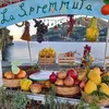 laspremmutaischia