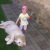 _ninuska_1