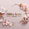 obbanani_lashes