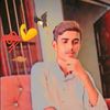 sabir113gb1