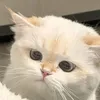thminhnguytnguyn
