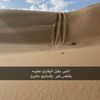 سالم الهواملهx502x