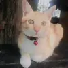 suryati000000