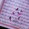 muslimaali13