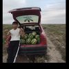 diasotaubayev0