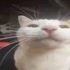justcallmemark6969_