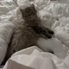 nala3luv