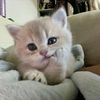 sleepingzzzqt